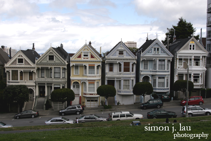 a photograph of the painted ladies in san francisco