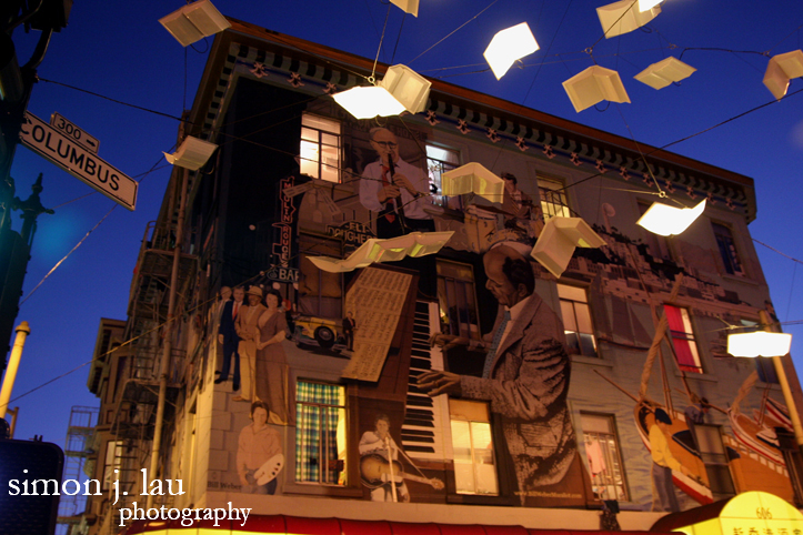 a photograph of the languages of the birds installation in san francisco